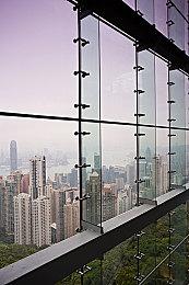 温馨风格冒险游戏新作《穆瑞：狂野森林》公布